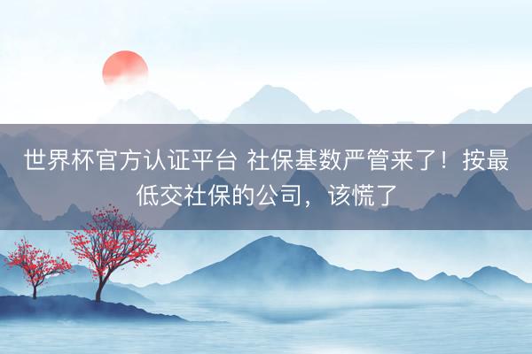 世界杯官方认证平台 社保基数严管来了！按最低交社保的公司，该慌了