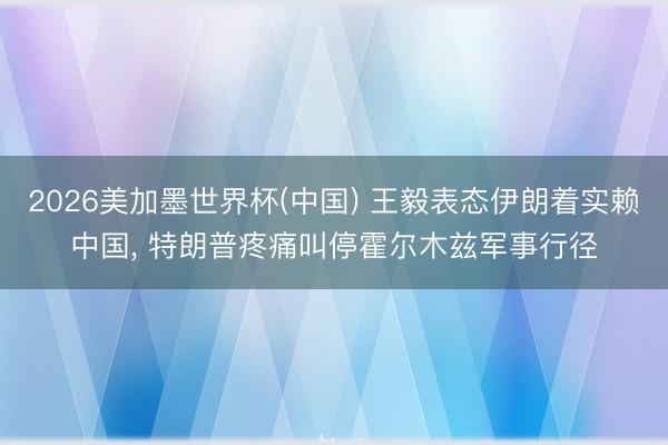 2026美加墨世界杯(中国) 王毅表态伊朗着实赖中国, 特朗普疼痛叫停霍尔木兹军事行径