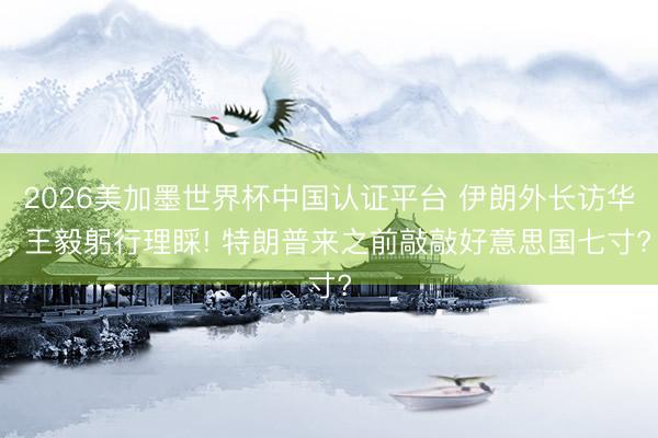 2026美加墨世界杯中国认证平台 伊朗外长访华， 王毅躬行理睬! 特朗普来之前敲敲好意思国七寸?