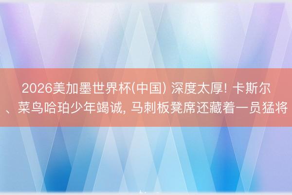 2026美加墨世界杯(中国) 深度太厚! 卡斯尔、菜鸟哈珀少年竭诚, 马刺板凳席还藏着一员猛将