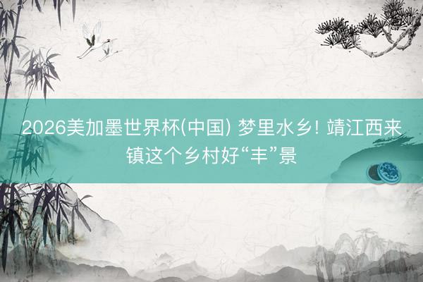 2026美加墨世界杯(中国) 梦里水乡! 靖江西来镇这个乡村好“丰”景