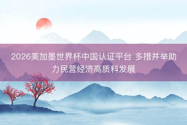 2026美加墨世界杯中国认证平台 多措并举助力民营经济高质料发展