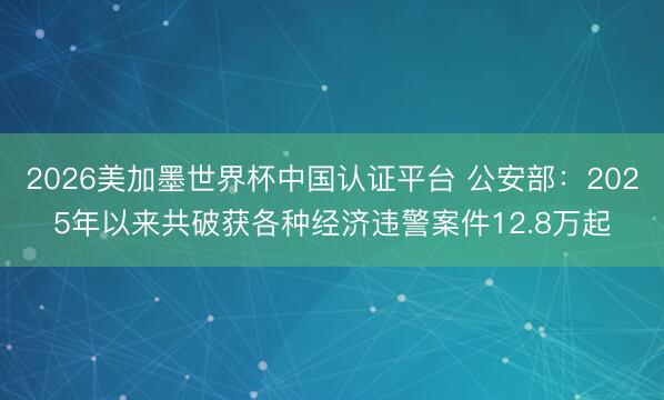 2026美加墨世界杯中国认证平台 公安部：2025年以来共破获各种经济违警案件12.8万起