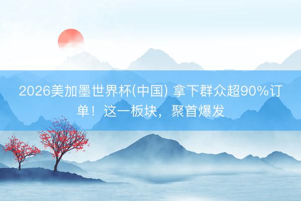 2026美加墨世界杯(中国) 拿下群众超90%订单！这一板块，聚首爆发