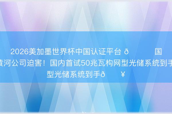 2026美加墨世界杯中国认证平台 📈 国度电投黄河公司迫害！国内首试50兆瓦构网型光储系统到手🔥