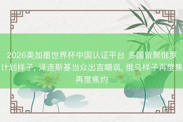 2026美加墨世界杯中国认证平台 多国皆聚俄罗斯计划样子， 泽连斯基当众出言嘲讽， 俄乌样子再度焦灼