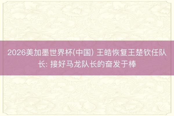 2026美加墨世界杯(中国) 王皓恢复王楚钦任队长: 接好马龙队长的奋发于棒