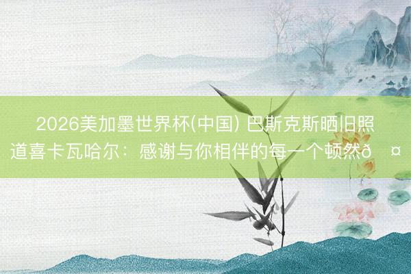 2026美加墨世界杯(中国) 巴斯克斯晒旧照道喜卡瓦哈尔：感谢与你相伴的每一个顿然🤍