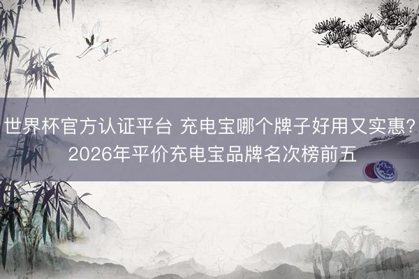 世界杯官方认证平台 充电宝哪个牌子好用又实惠? 2026年平价充电宝品牌名次榜前五