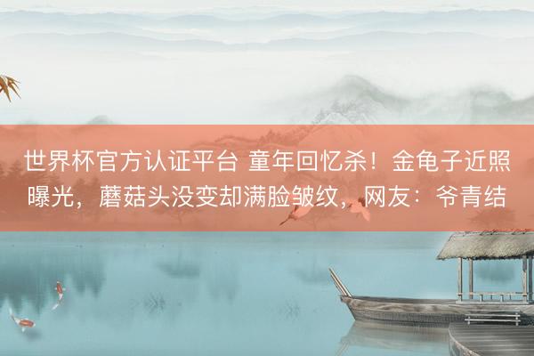 世界杯官方认证平台 童年回忆杀！金龟子近照曝光，蘑菇头没变却满脸皱纹，网友：爷青结
