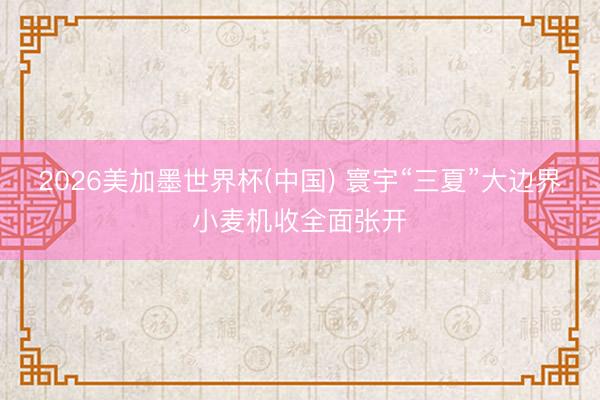 2026美加墨世界杯(中国) 寰宇“三夏”大边界小麦机收全面张开