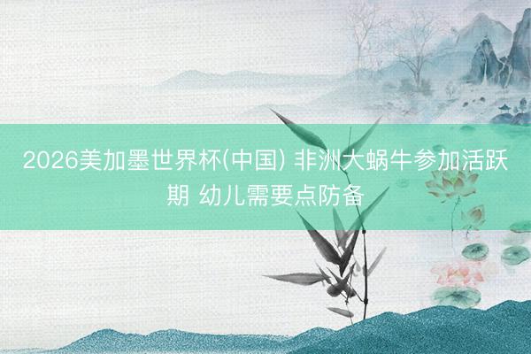2026美加墨世界杯(中国) 非洲大蜗牛参加活跃期 幼儿需要点防备