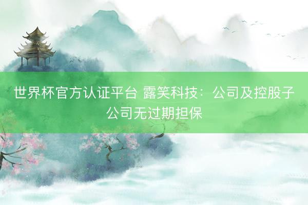 世界杯官方认证平台 露笑科技：公司及控股子公司无过期担保