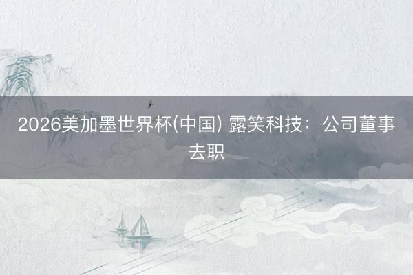 2026美加墨世界杯(中国) 露笑科技：公司董事去职