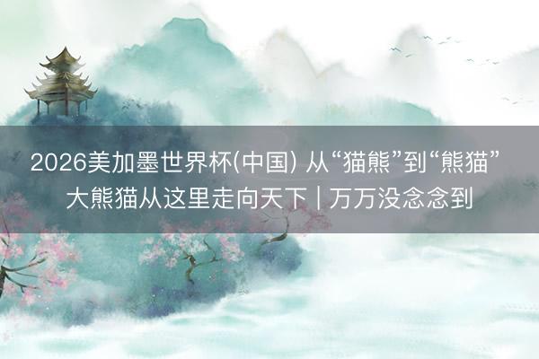 2026美加墨世界杯(中国) 从“猫熊”到“熊猫” 大熊猫从这里走向天下 | 万万没念念到