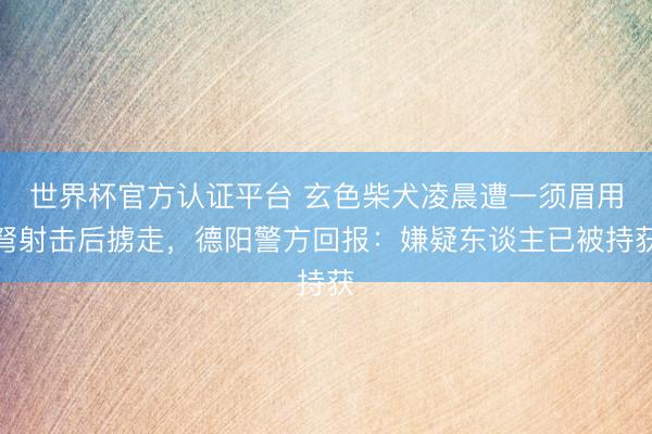 世界杯官方认证平台 玄色柴犬凌晨遭一须眉用弩射击后掳走，德阳警方回报：嫌疑东谈主已被持获
