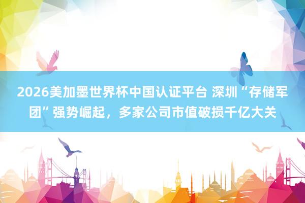 2026美加墨世界杯中国认证平台 深圳“存储军团”强势崛起，多家公司市值破损千亿大关